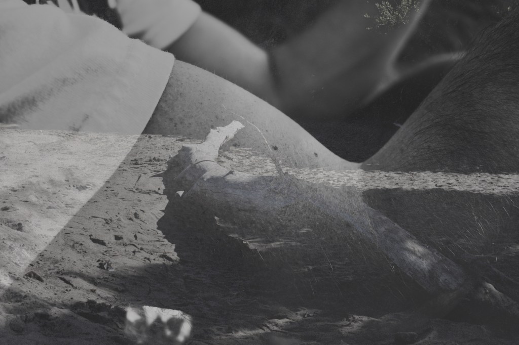 Where Did My Love&nbsp;Go?